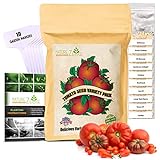 NatureZ Edge Heirloom Tomato Seeds for Planting Home Garden - 10 Heirloom Tomatoes Variety Pack and 10 Garden Markers - Non GMO Heirloom Tomatoes Seeds - Beefsteak, Jubilee, Cherry, Roma, and More Photo, best price $13.97 new 2024