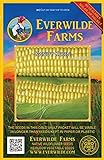 Everwilde Farms - 100 Kandy Korn Hybrid Sweet Corn Seeds - Gold Vault Jumbo Seed Packet Photo, best price $3.96 new 2024