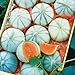 Photo 10 Savor Melon Seeds | Exotic Garden Fruit Seeds to Plant | Sweet Exotic Melons, Grow and Eat