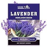 1400 English Lavender Seeds for Planting Indoors or Outdoors, 90% Germination, to Give You The Lavender Plant You Need, Non-GMO, Heirloom Herb Seeds Photo, best price $5.99 ($0.01 / Count) new 2024
