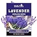 Photo 1400 English Lavender Seeds for Planting Indoors or Outdoors, 90% Germination, to Give You The Lavender Plant You Need, Non-GMO, Heirloom Herb Seeds