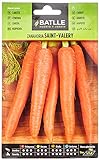 Zanahoria SAINT VALERY Foto, mejor precio 1,60 € nuevo 2024