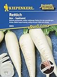 Rettichsamen - Rettich Rex (Saatband) von Kiepenkerl Foto, bester Preis 4,00 € neu 2024