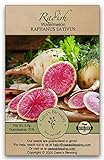 Gaea's Blessing Seeds - Radish Seeds (2.5g) Watermelon Radish Non-GMO Seeds with Easy to Follow Planting Instructions - Heirloom 89% Germination Rate Photo, best price $5.99 new 2024