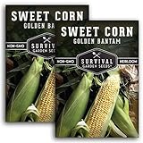 Survival Garden Seeds - Golden Bantam Sweet Corn Seed for Planting - Packet with Instructions to Plant and Grow Yellow Corn on The Cob Your Home Vegetable Garden - Non-GMO Heirloom Variety - 2 Pack Photo, best price $7.99 ($4.00 / Count) new 2024