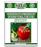 Keystone Resistant Sweet Bell Pepper Seeds 150 Seeds Non-GMO Photo, best price $1.89 ($0.01 / Count) new 2024