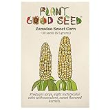 Zanadoo Sweet Corn Seeds - Pack of 30, Certified Organic, Non-GMO, Open Pollinated, Untreated Vegetable Seeds for Planting – from USA Photo, best price $7.49 new 2024
