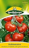 Tomatensamen - Tomate Harzfeuer F1 von Quedlinburger Saatgut Foto, bester Preis 2,81 € neu 2024