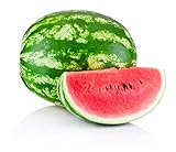 Crimson Sweet Watermelon Seeds for Planting - Large 200 Count Premium Heirloom Seeds Packet! Photo, best price $7.99 ($0.04 / Count) new 2024