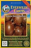 Everwilde Farms - 500 Yellow Sweet Spanish Onion Seeds - Gold Vault Jumbo Seed Packet Photo, best price $2.98 new 2024