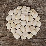 Henderson's Bush Lima Bean - 50 Seeds - Heirloom & Open-Pollinated Variety, USA-Grown, Non-GMO Vegetable/Dry Bean Seeds for Planting Outdoors in The Home Garden, Thresh Seed Company Photo, best price $7.99 new 2024