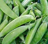 Pea Seed, Sugar Snap Pea, Heirloom, Non GMO, 20 Seeds, Perfect Peas, Country Creek Acres Photo, best price $1.99 new 2024
