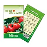 Stabtomaten Harzfeuer F1 Samen - Solanum lycopersicum - Tomatensamen - Gemüsesamen - Saatgut für 15 Pflanzen Foto, bester Preis 1,99 € (0,13 € / stück) neu 2024