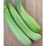 Lousiana Long Green Eggplant Seeds (30+ Seed Package) Photo, best price $4.19 new 2024