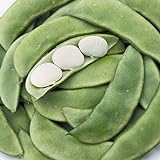 Henderson Baby Lima Beans, 30 Heirloom Seeds Per Packet, Non GMO Seeds, Botanical Name: Phaseolus lunatus, Isla's Garden Seeds Photo, best price $5.99 ($0.20 / Count) new 2024
