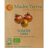Madre Tierra - Semillas Ecologicas de Tomate Cebra -( Licopersicum Sculentum) Origen Alicante- España - Semillas Especiales - 1.5 gramos Foto, mejor precio 9,73 € nuevo 2024