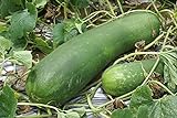 20 Organic Huge Chinese Asian Winter Melon Seeds Wax Gourd - Seed from Year 2021 USA Photo, best price $7.98 new 2024