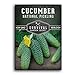 Photo Survival Garden Seeds - National Pickling Cucumber Seed for Planting - Packet with Instructions to Plant and Grow Cucumis Sativus in Your Home Vegetable Garden - Non-GMO Heirloom Variety