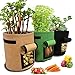 Photo 3 Pcs 10 Gallon Potato Grow Bags, Vegetables Planter Bags Growing Container for Potato Cultivation Grow Bags, Breathable Nonwoven Fabric Cloth,Easy to Harvest(10 Gallon)