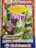 Golden Mountain Thai Round Eggplant Seeds Photo, best price $6.99 new 2024