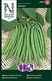 Buschbohnen Samen für Gemüsegarten - Nelson Garden Saatgut Gartenbohnen (50 Stück) - Leckere Brechbohnen Foto, bester Preis 4,95 € neu 2024