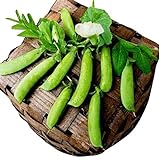50 Sugar Ann Snap Pea Heirloom Seeds - Non GMO - Neonicotinoid-Free Photo, best price $8.99 ($0.18 / Count) new 2024