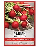 Radish Seeds for Planting - Cherry Belle Variety Heirloom, Non-GMO Vegetable Seed - 2 Grams of Seeds Great for Outdoor Spring, Winter and Fall Gardening by Gardeners Basics Photo, best price $4.95 new 2024
