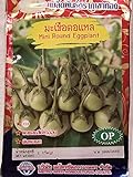 Golden Mountain Thai Mini Round Eggplant Seeds Photo, best price $6.99 new 2024