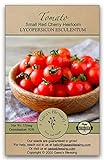 Gaea's Blessing Seeds - Tomato Seeds - Small Red Cherry Heirloom - Non-GMO Seeds with Easy to Follow Planting Instructions - Open-Pollinated 92% Germination Rate Photo, best price $5.99 new 2024