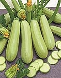 Seeds Squash Zucchini Aspirant 38 Days White Bush Vegetable for Planting Heirloom Non GMO Photo, best price $7.99 new 2024