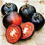 Indigo Rose Tomato Seeds (20+ Seeds) | Non GMO | Vegetable Fruit Herb Flower Seeds for Planting | Home Garden Greenhouse Pack Photo, best price $3.69 ($0.18 / Count) new 2024