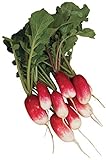 Burpee French Breakfast Organic Radish Seeds 325 seeds Photo, best price $7.99 new 2024