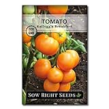 Sow Right Seeds - Kellogg's Breakfast Tomato Seed for Planting - Non-GMO Heirloom Packet with Instructions to Plant a Home Vegetable Garden Photo, best price $4.99 new 2024