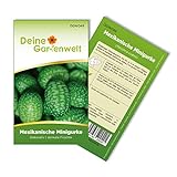 Mexikanische Minigurke Samen - Melothria scabra - Minigurkensamen - Gemüsesamen - Saatgut für 10 Pflanzen Foto, bester Preis 1,99 € (0,20 € / stück) neu 2024