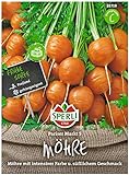 Sperli Premium Möhren Samen Pariser Markt 5 ; kugelförmige Karotte ; runde Karotten Samen Foto, bester Preis 3,57 € neu 2024