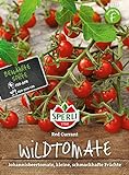83235 Sperli Premium Tomatensamen Red Currant | Buschtomaten Samen | Tomatensamen Resistent | Wildtomaten Samen | Johannisbeertomaten Samen | Wildtomate rote murmel | Alte Tomatensorten Foto, bester Preis 4,97 € neu 2024