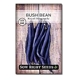 Sow Right Seeds - Royal Burgundy Bean Seed for Planting - Non-GMO Heirloom Packet with Instructions to Plant a Home Vegetable Garden Photo, best price $5.49 new 2024