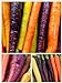 Photo Homegrown Carrot Seeds, 1000 Seeds, Rainbow Supreme Carrot Mixture No GMO