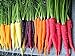 Photo 500+ Rainbow Carrot Seeds to Grow - Colorful Blend of Exotic Colored Carrots. Edible Vegetables. Made in USA