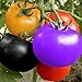 Foto Semillas de Tomate Arcoíris Semillas de Tomate Jardín Semillas de Frutas Orgánicas Semillas de Verduras Planta Decoración Del Patio de Casa (100 Piezas)