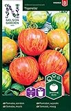 Tomatensamen Tigerella - Nelson Garden Samen für Gemüsegarten - Tomaten Saatgut (36 Stück) (Einzelpackung) Foto, bester Preis 3,45 € neu 2024