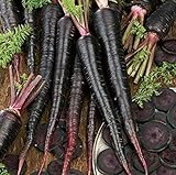 500+ Exotic Black Nebula Carrot Seeds to Grow - Daucus carota - Colorful Edible Vegetables. Made in USA Photo, best price $7.98 ($0.02 / Count) new 2024