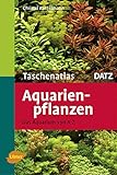 Aquarienpflanzen: Das Aquarium von A - Z (Taschenatlanten) Foto, bester Preis 19,90 € neu 2024