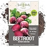 Seed Needs, Detroit Dark Red Beet (Beta vulgaris) Bulk Package of 2,000 Seeds Non-GMO Photo, best price $7.49 new 2024