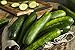 Photo Sweeter Yet Hybrid Cucumber Seeds - Non-GMO - 10 Seeds