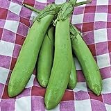 Thai Long Green Eggplant Seeds (25+ Seeds) Photo, best price $4.69 new 2024