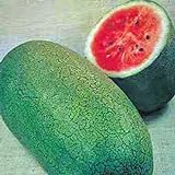 Watermelon, Charleston Grey, Heirloom,100 Seeds, Large Photo, best price $2.99 ($0.03 / Count) new 2024