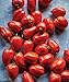 Photo Burpee 'Big Mama' Hybrid | Large Red Paste Tomato | 50 Seeds