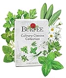 Burpee Culinary Classics Garden Collection 10 Packets of Non-GMO Chives, Cilantro, Basil, Sage, Thyme, Dill, Parsley, Chamomile, Marjoram & Oregano | Kitchen Herb Variety Pack, Seeds for Planting Photo, best price $26.57 new 2024