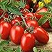 Foto Semilla de fruta fresca con 80pcs / bolsa Semilla de tomate rara Intolerante frío Fruta jugosa Nutritiva Semilla de tomate rara para plantar Garden Yard Home Landscaping